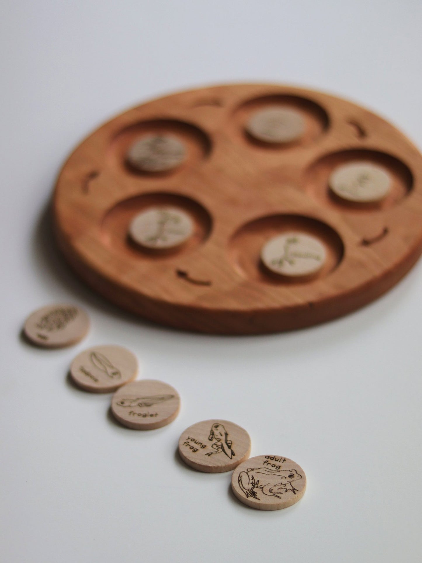 life cycle coins