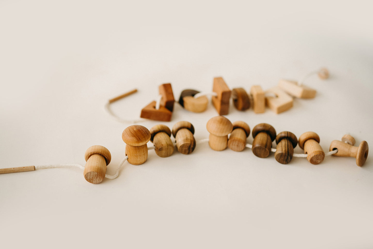 wooden lacing mushrooms